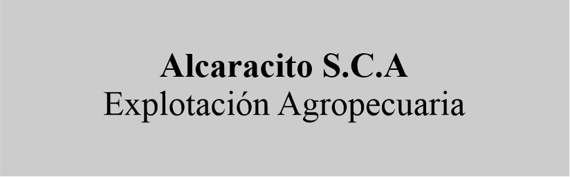 alcaracito